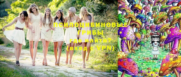 мескалин Арсеньев