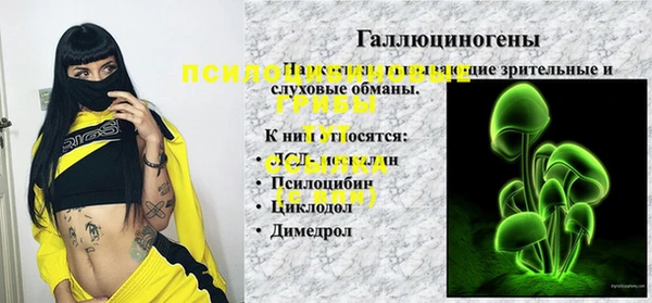 ГАЛЛЮЦИНОГЕННЫЕ ГРИБЫ Аркадак