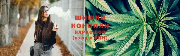 ПСИЛОЦИБИНОВЫЕ ГРИБЫ Армянск