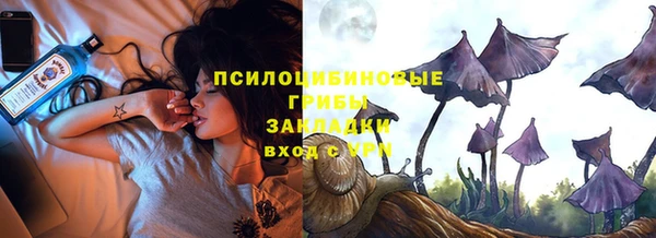 ПСИЛОЦИБИНОВЫЕ ГРИБЫ Армянск